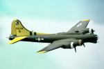 B-17 Airborne, MYFV26P12_15
