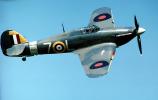 Z7015, ROYAL NAVY, Hawker Sea Hurricane Mk1B, milestone of flight, Airborne, Flying, MYFV26P13_16