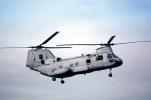 7715, Boeing CH-46 Sea Knight, urban warfare training, Operation Kernel Blitz, MYMV02P06_03