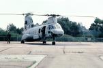 Boeing CH-46 Sea Knight, Operation Kernel Blitz, urban warfare training, MYMV03P02_19