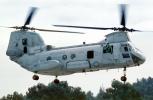 Operation Kernel Blitz, Boeing CH-46 Sea Knight, urban warfare training, MYMV03P03_05