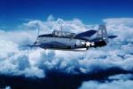 George Bush Aircraft, milestone of flight, MYND01_231