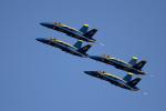 Blue Angels, formation flight, MYND01_246