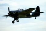 Grumman F4F Wildcat, World War-II, WW2, WWII, USN, United States Navy, MYNV09P09_13B