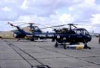 XT427, Westland Wasp AH1, AHSaint1, Helicopter Aviation, Royal Navy Aviation, MYNV12P15_11.0361