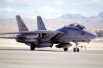 Nellis Airforce Base, Las Vegas, Nevada, Grumman F-14 Tomcat, MYNV15P13_03