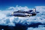 Grumman Avenger flown by George H W Bush, Grumman TBF, MYNV18P01_15