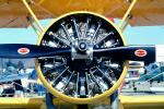Radial Piston Engine, Round, Circular, Circle, Great Lakes 2T-1A single-engine two-seat Trainer, MYOV01P10_08