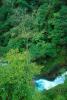 Kegon Falls, Kegonnotaki, Trees, Nikko, NAJV01P02_01.1270
