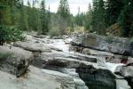 Stream, Rocks, Water, Trees, Cascade, NCAV01P04_14
