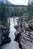 Athabasca River, Stream, Rocks, Water, Trees, NCAV01P04_17