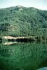 forest, mountains, lake, reflection, trees, water, NCAV01P15_14