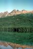 forest, mountains, lake, reflection, water, NCAV01P15_16
