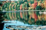 fall colors, reflection, reflecting, pond, lake, water, Forest, Woodlands, autumn, NCOV01P01_17