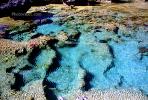 Coral Reef, Pacific Ocean, azure water ripples, Wavelets, NDCV01P12_11