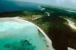 Forest, Trees, Pacific Ocean, Isle of Pines, New Caledonia, shore, shoreline, coast, NDCV02P01_06.1275