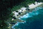 Coral, Island, Forest, Trees, Pacific Ocean, shore, shoreline, coast, NDCV02P02_03.1275
