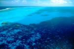 Barrier Reef, Coral, Pacific Ocean, NDCV02P07_15.1275