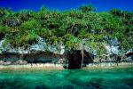 Tropical forest, Island, Coral Reef, Pacific Ocean, NDCV02P09_05.1276