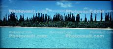 Tropical Pine Trees, Island, Coral Reef, Pacific Ocean, NDCV02P09_14