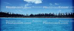 Tropical Pine Trees, Island, Coral Reef, Pacific Ocean, NDCV02P09_15
