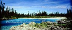 Tropical Pine Trees, Island, Coral Reef, Pacific Ocean, NDCV02P09_16
