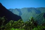 Mountains, Rain Forest, Island of Tahiti, NDPV01P04_14