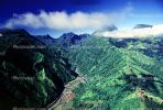 Island of Tahiti, Rain Forest, Mountains, NDPV01P06_02