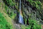 Island of Tahiti, Waterfall, Rain Forest, NDPV01P07_01