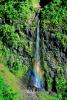 Island of Tahiti, Waterfall, Rain Forest, NDPV01P07_02
