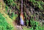 Island of Tahiti, Waterfall, Rain Forest, NDPV01P07_03