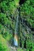 Island of Tahiti, Waterfall, Rain Forest, NDPV01P07_06