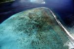 Island of Moorea, Coral Reef, NDPV01P09_15