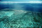 Coral Reef, Island of Moorea, NDPV01P13_04