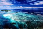 Coral Reef, Island of Moorea, NDPV01P13_05