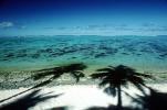 palm tree shadow, beach, Island of Moorea, NDPV01P14_16