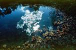 Clouds Reflecting in a Pond, Water, Reflection, Autumn, NLKV01P02_10