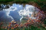 Clouds Reflecting in a Pond, Water, Reflection, Autumn, NLKV01P02_14