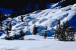 smooth snow, hills, Forest, Snow, Mountains, Trees, Cold, Frozen, Snowy, Winter, Wintry, NNIV01P04_08.0932