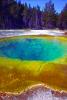 Morning Glory, Hot Spring, Geothermal Feature, activity, Extremophile, Thermophile, NNYV02P03_02.0938