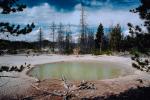 Hot Spring, Geothermal Feature, activity, pond, NNYV04P01_10.0939