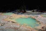 green Pond, Hot Spring, Geothermal Feature, activity, NNYV04P01_16.0939
