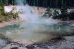 steam, hill, dead tree, water, Hot Spring, Geothermal Feature, activity, NNYV04P02_10.0940
