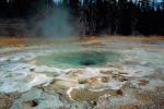 Hot Spring, steam, trees, forest, Geothermal Feature, activity, NNYV04P10_07.0940