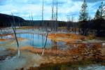 Dead Trees, Hot Spring, Geothermal Feature, activity, NNYV04P14_03.0940