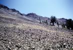 barren hillside, rocks, NNYV05P10_05