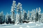 Trees, Forest in the Snow, building, NNYV05P14_17