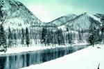 Trees, Forest in the Snow, Yellowstone River, bucolic, stillness, reflection, water, NNYV05P15_02