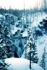 river, waterfall, forest in the snow, trees, NNYV05P15_15