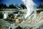 geochemically extreme conditions, Geyser, Hot Vent, Sulfer, springs, moss, hot water, NNYV06P05_09